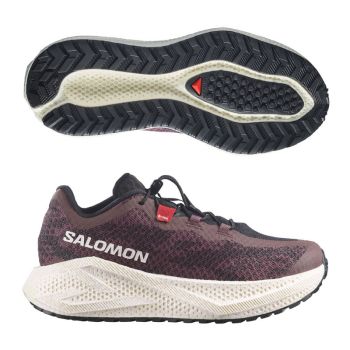 Salomon Aero Glide  4 GRVL dam