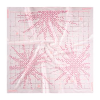 Salomon Bandana GFX unisex