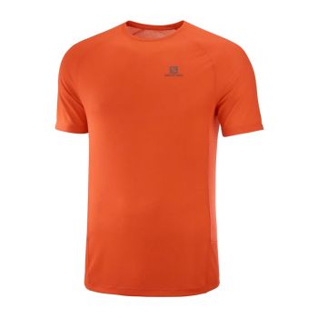 Salomon Cross Rebel SS Tee herr