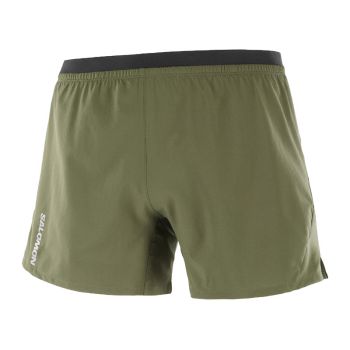 Salomon Cross 5 Shorts grn herr