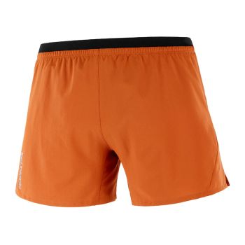 Salomon Cross 5 Shorts tegel herr