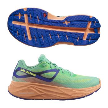 Salomon Aero Glide dam
