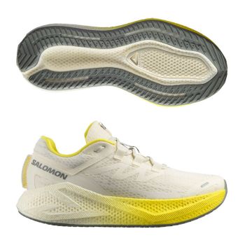 Salomon Aero Glide 3 herr