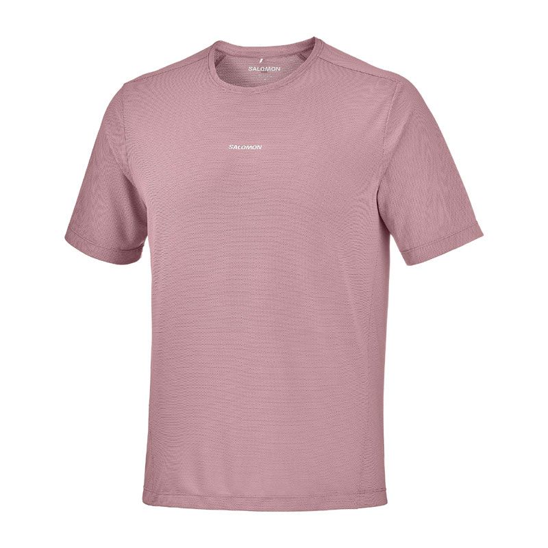 Salomon Shakeout Core SS Tee herr