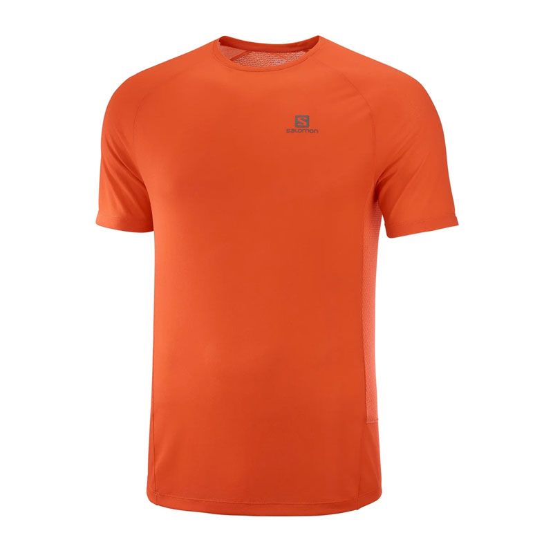 Salomon Cross Rebel SS Tee herr