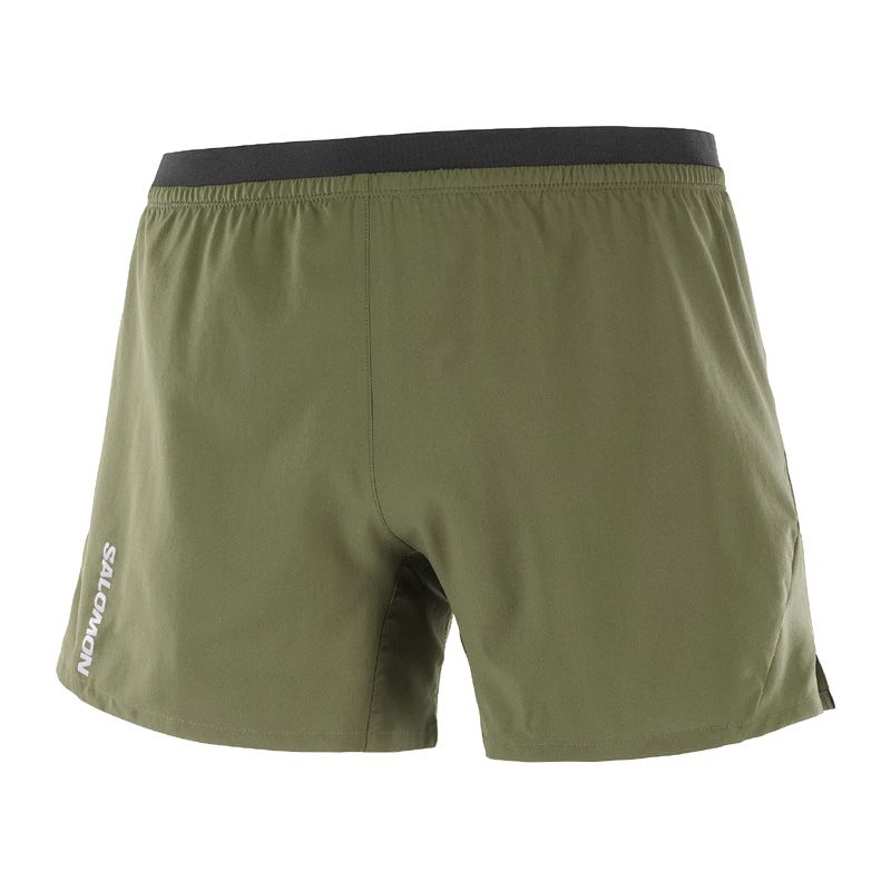 Salomon Cross 5 Shorts grn herr