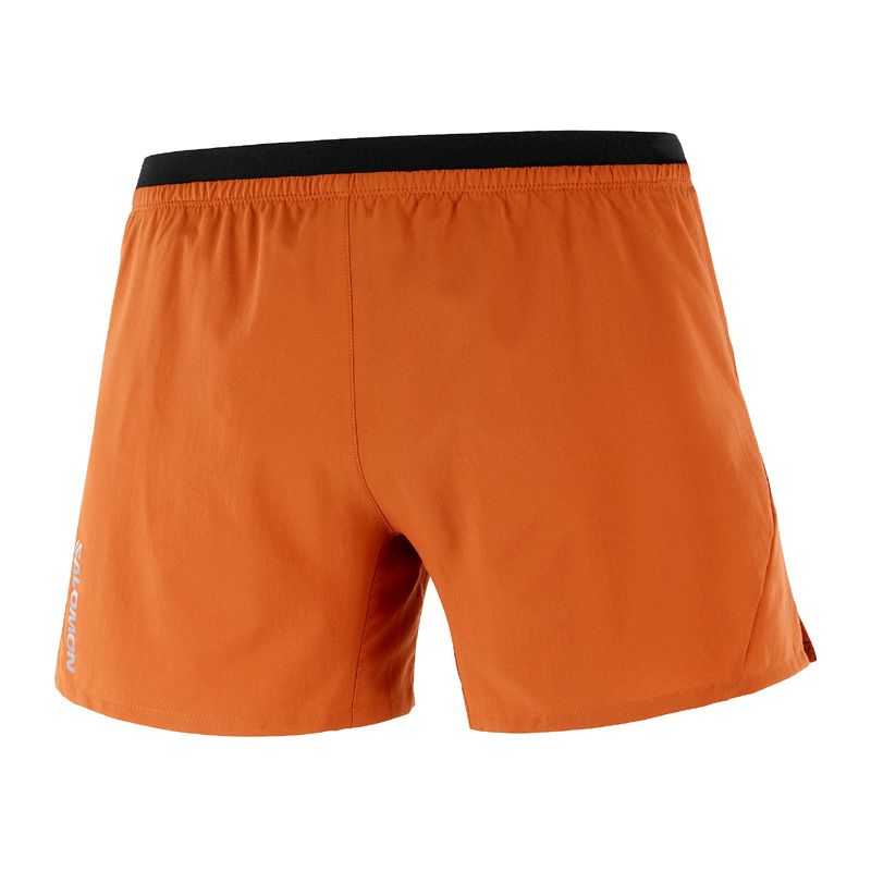 Salomon Cross 5 Shorts tegel herr