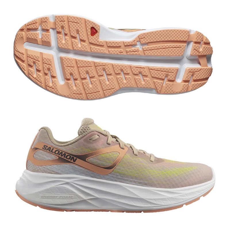 Salomon Aero Glide dam
